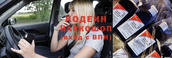 прущие грибы Абинск