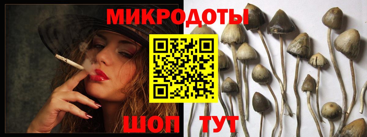 Галлюциногенные грибы Cubensis Аксай