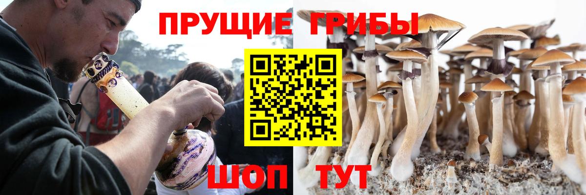 хочу   Вход с VPN  Аксай  Галлюциногенные грибы Psilocybe 